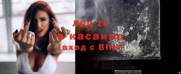 ГАЛЛЮЦИНОГЕННЫЕ ГРИБЫ Белокуриха
