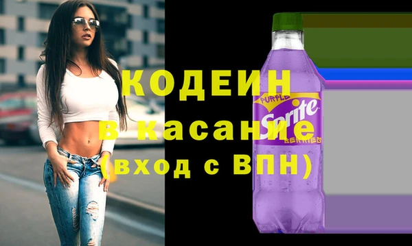 прущие грибы Богданович