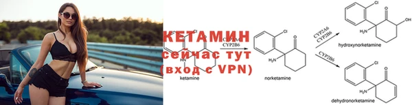 ГАЛЛЮЦИНОГЕННЫЕ ГРИБЫ Белокуриха