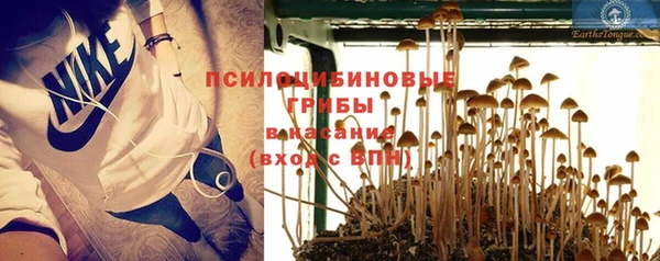 ГАЛЛЮЦИНОГЕННЫЕ ГРИБЫ Белокуриха