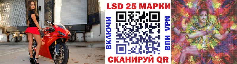 это как зайти  Болотное  Марки N-bome 1,8мг 